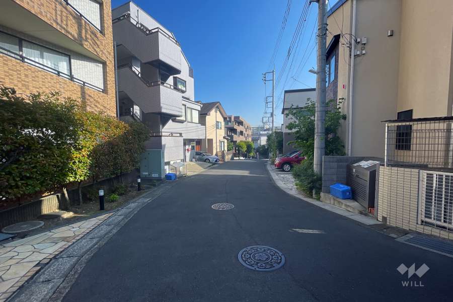 敷地西側の前面道路（北側から）