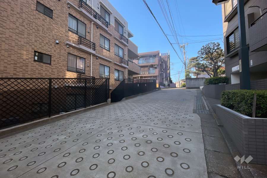 敷地の東側前面道路（南側から）