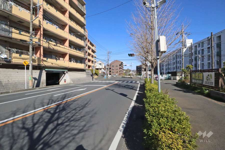 敷地南側の前面道路（西側から）