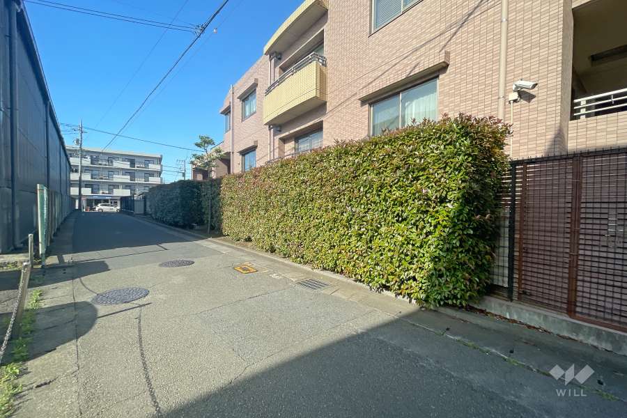 敷地西側の前面道路（南側から）