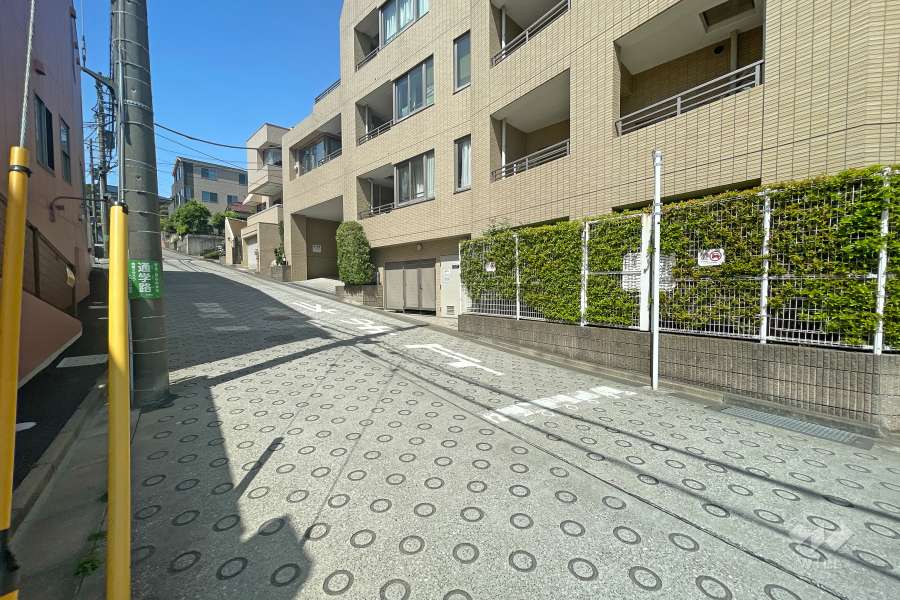 敷地西側の前面道路（南側から）