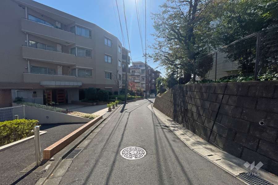 敷地西側の前面道路（北側から）