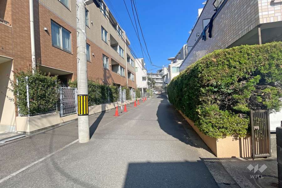 敷地東側の前面道路（南側から）