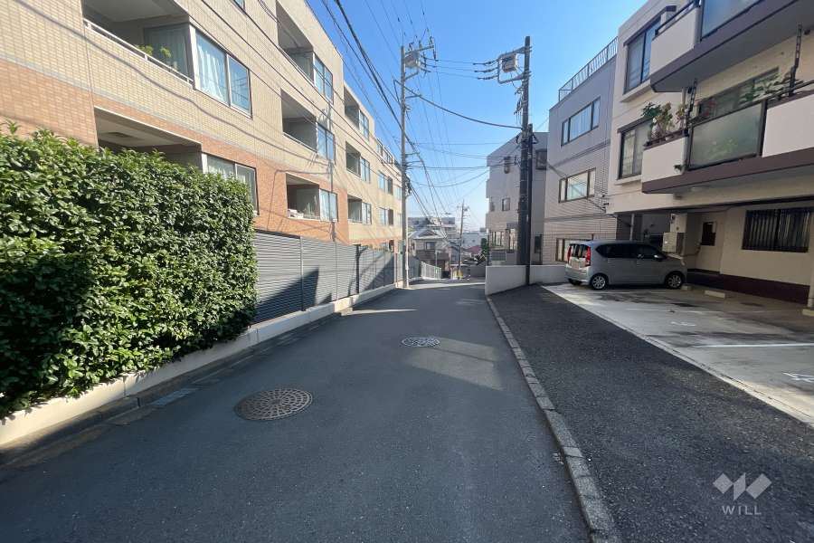 敷地南側の前面道路（西側から）