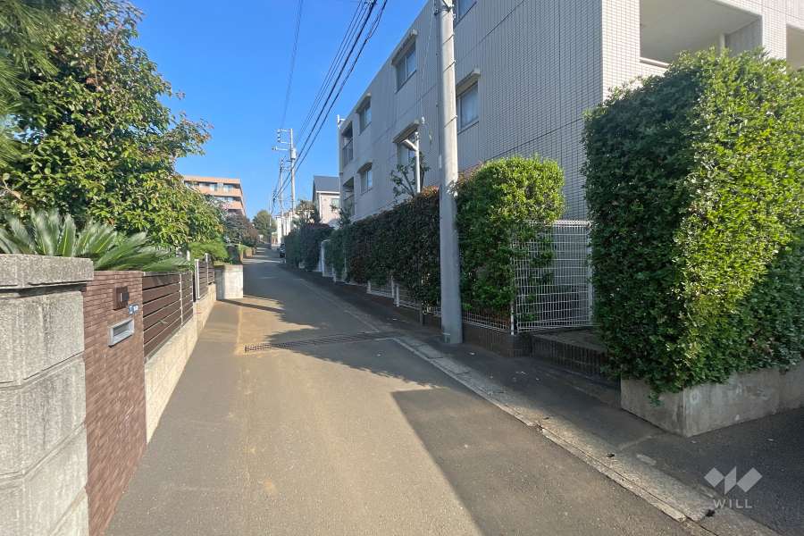 敷地北側の前面道路（西側から）