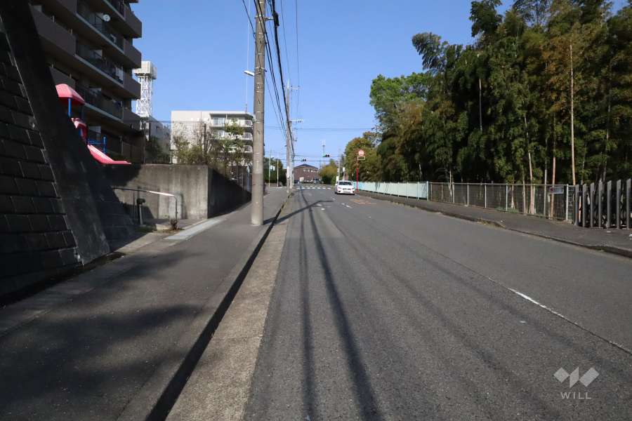 敷地南東側の前面道路(南西側から)
