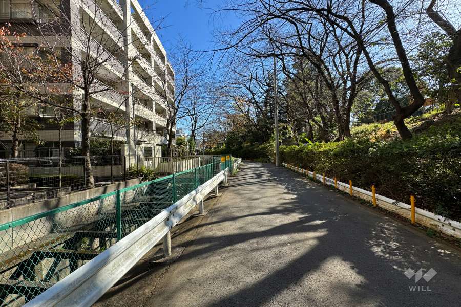 敷地南側の前面道路（西側から）