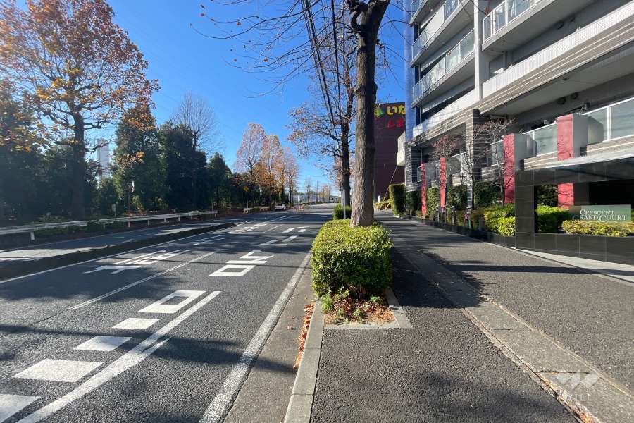 敷地南側の前面道路（東側から）