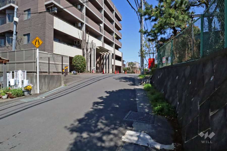 敷地南側の前面道路(西側から)