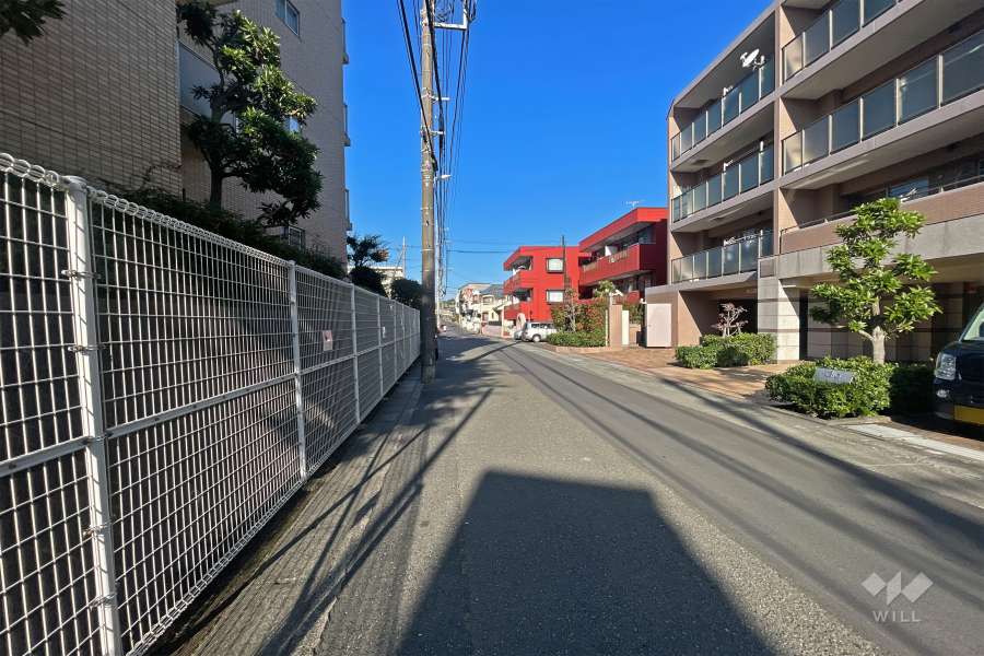 敷地南側の前面道路（東側から）