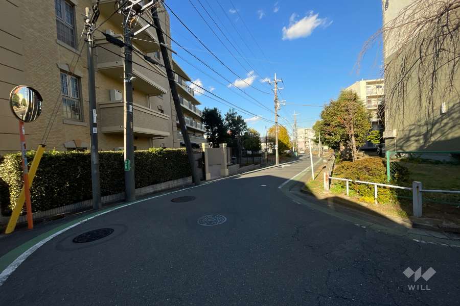 敷地南東側の前面道路（南西側から）