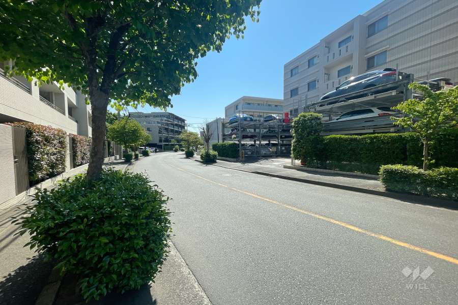 敷地北側の前面道路　