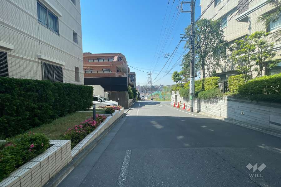 敷地西側の前面道路　