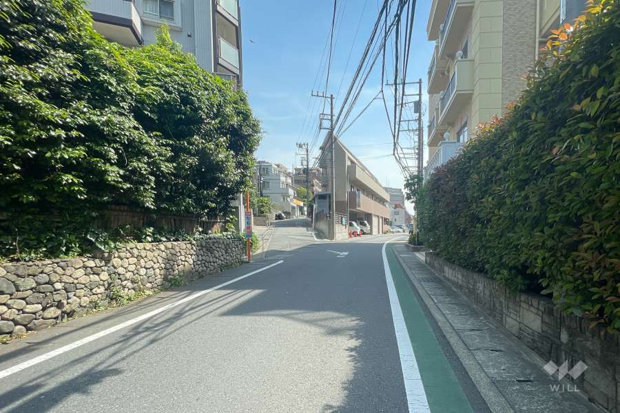 敷地東側の前面道路（北側から）