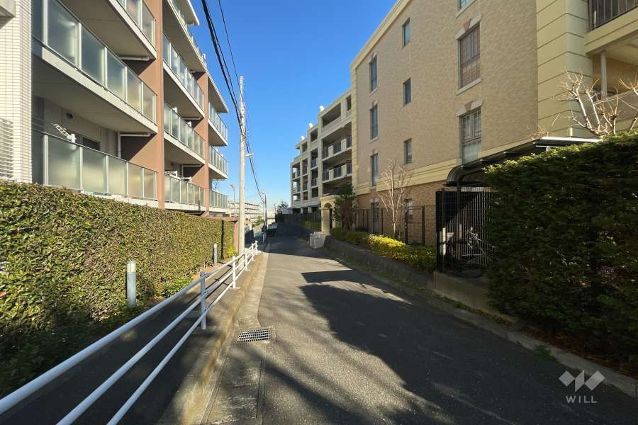 敷地西側の前面道路（南側から）