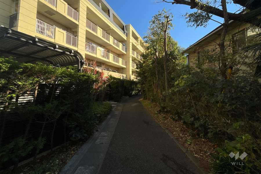 敷地南側の前面通路（西側から）