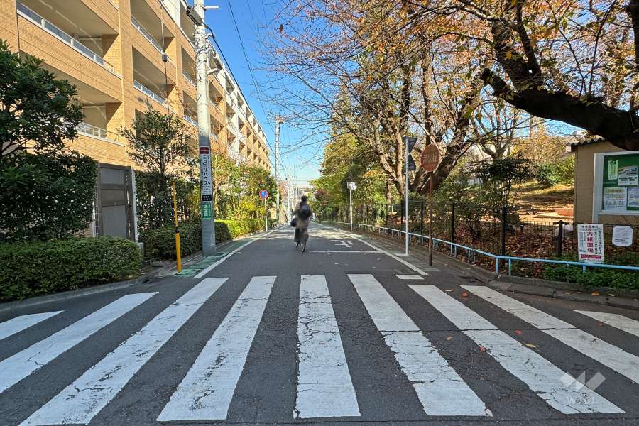 敷地の東側前面道路（南側から）