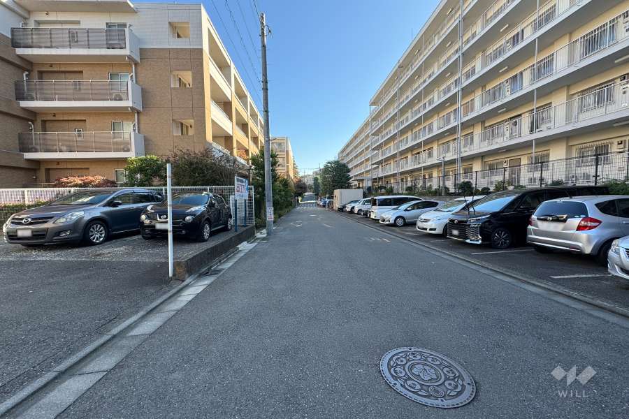 敷地の南側前面道路（西側から）