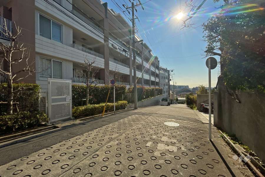 敷地西側の前面道路（北側から）