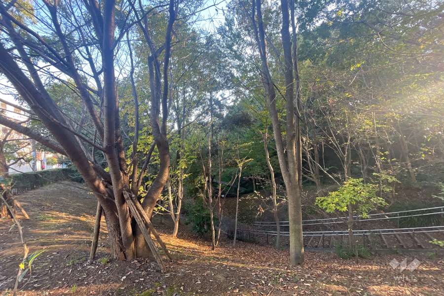 近隣にはい緑豊かな公園があります。
