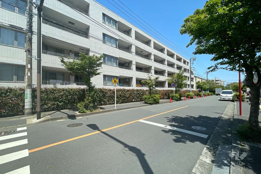 敷地南側の前面道路　