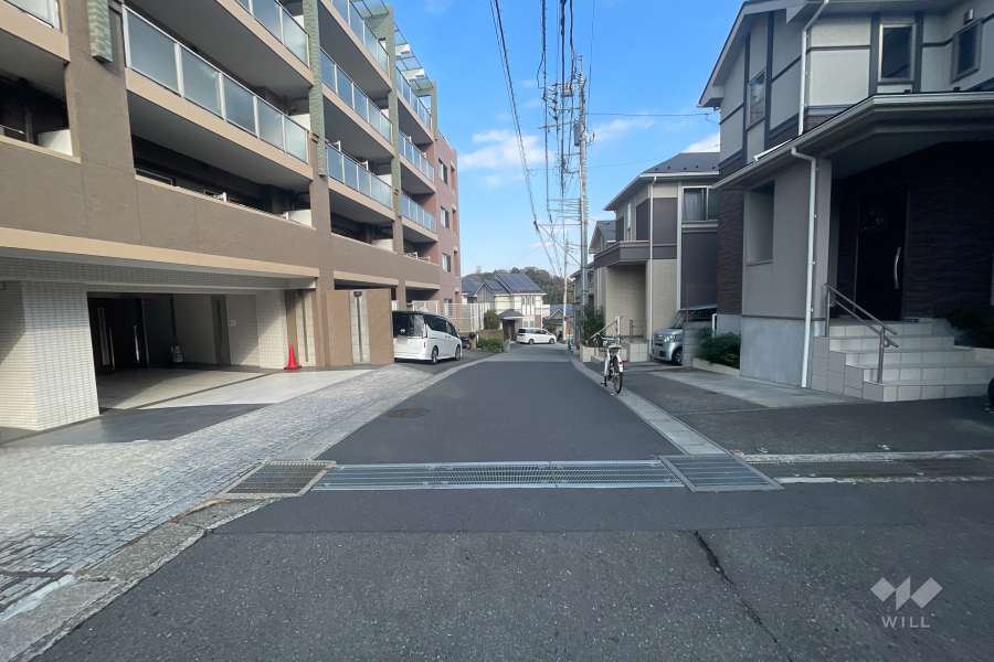 敷地南側の前面道路（西側から）