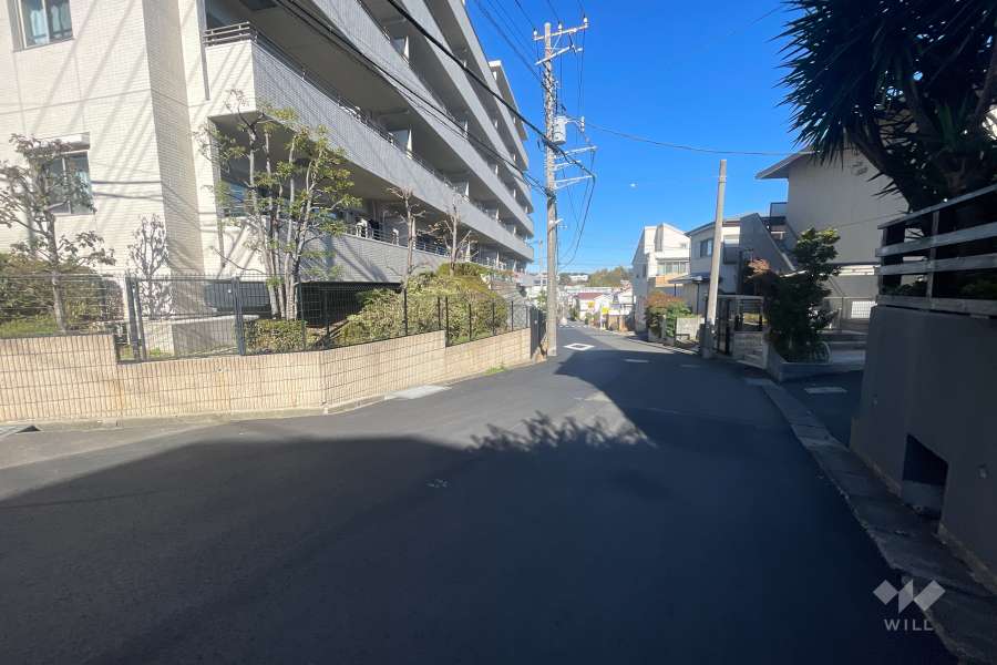 敷地の東側前面道路（南側から）