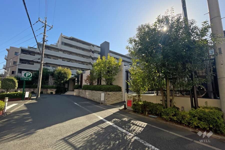 敷地北側の前面道路（西側から）