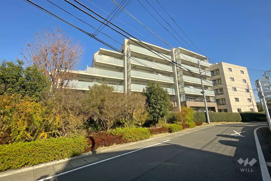 サンクタス宮崎台の外観（南西側から）