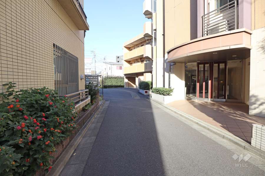 敷地北西側の前面道路（南西側から）