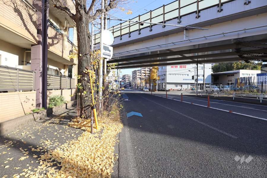 敷地南側の前面道路