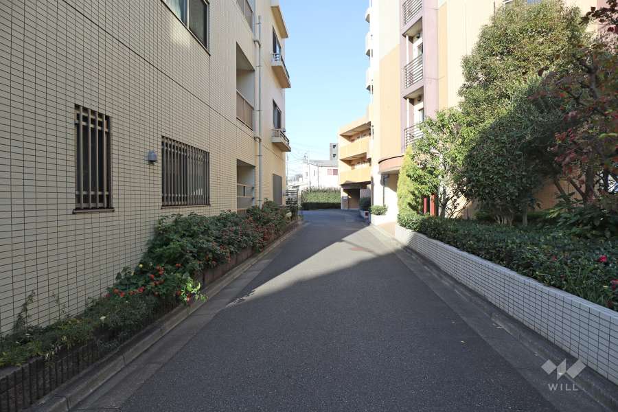 敷地東側の前面道路