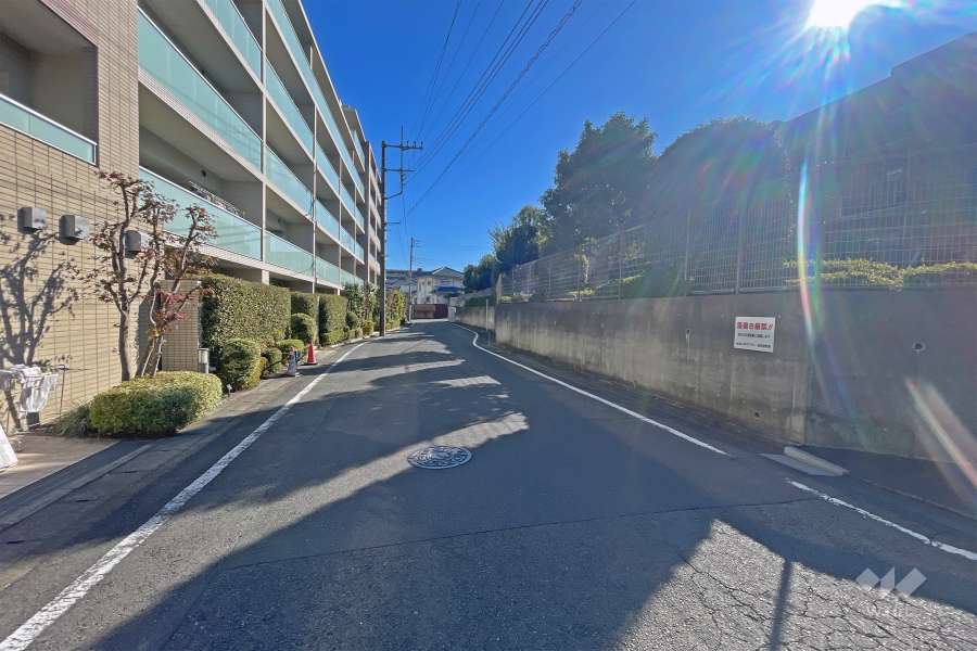 敷地の南側前面道路（西側から）