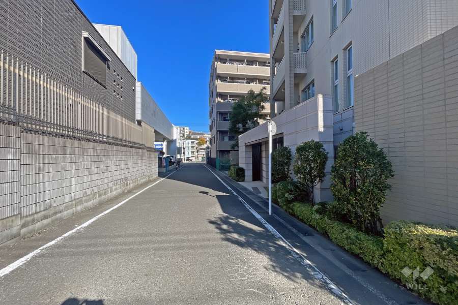 敷地の西側前面道路（南側から）