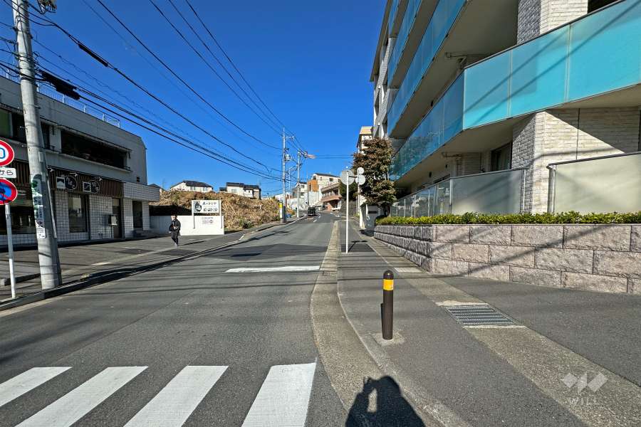 敷地の西側前面道路（南側から）