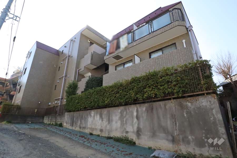リーセントパレス神木本町の外観(東側から)