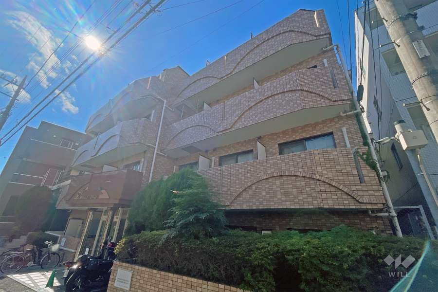 日神パレステージ宮崎台の外観（北東側から）