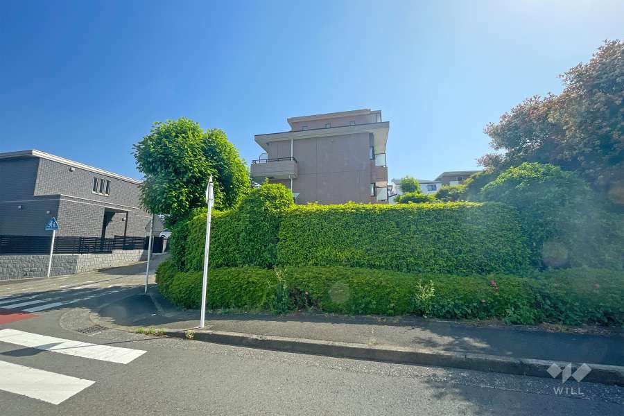 敷地南側の前面道路（西側から）