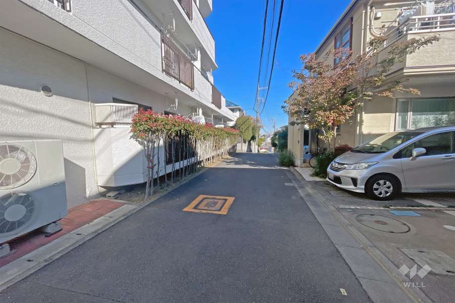 敷地の西側道路（南側から）