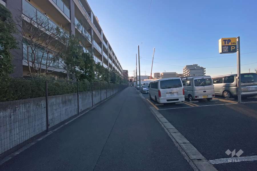 敷地の西側前面道路（北側から）