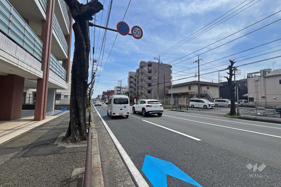 敷地南側の前面道路