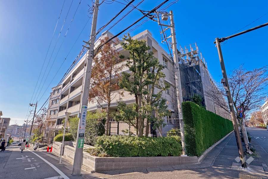 ザ・パークハウス宮前平エルドの外観（北東側から）
