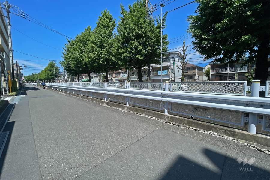 敷地北側の前面道路（東側から）