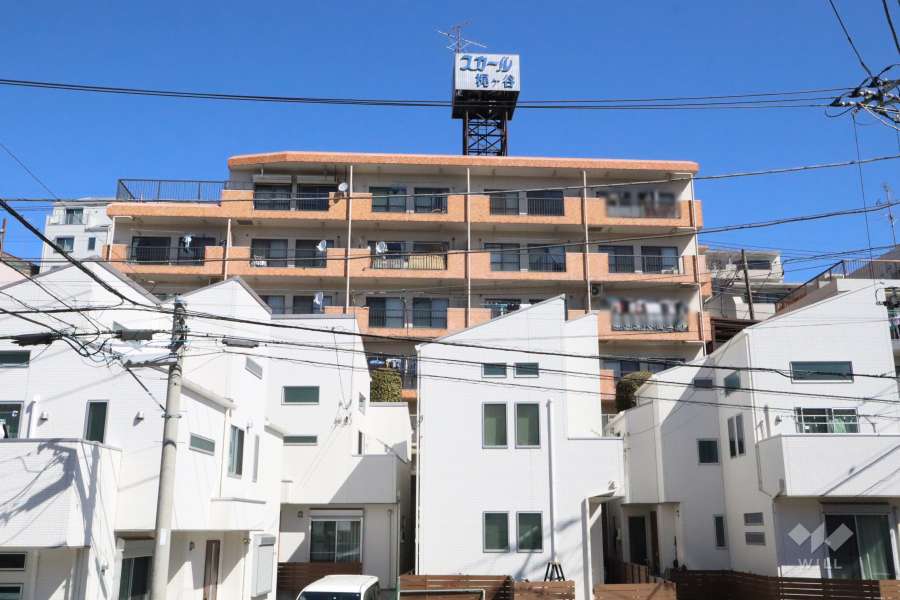 スカール梶ヶ谷の外観(南側から)