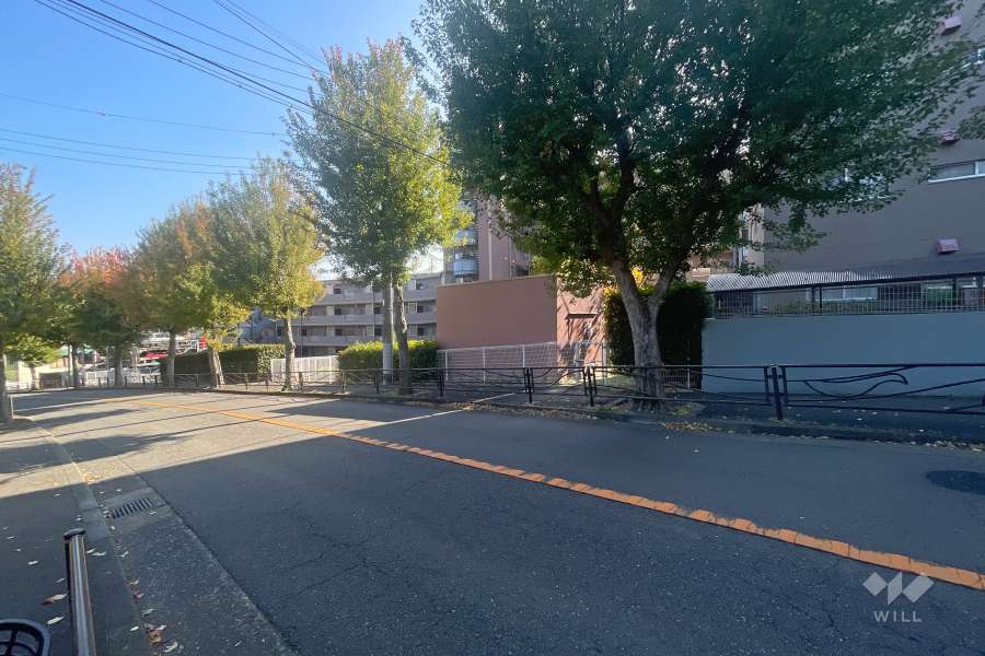 敷地北側の前面道路（西側から）