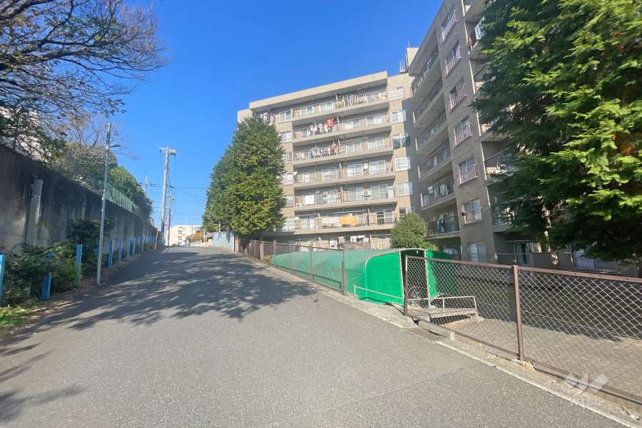 敷地西側の前面道路（南側から）