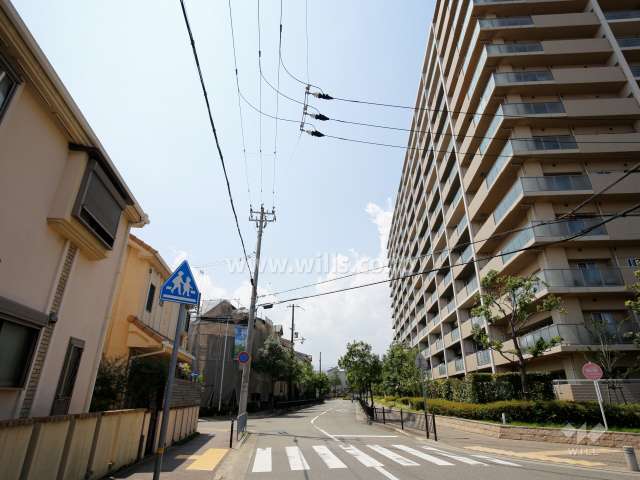 敷地南側の前面道路。南側は一戸建て街です。