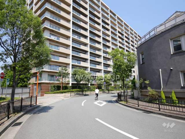 敷地南側の前面道路は街路樹が並ぶ通りです。
