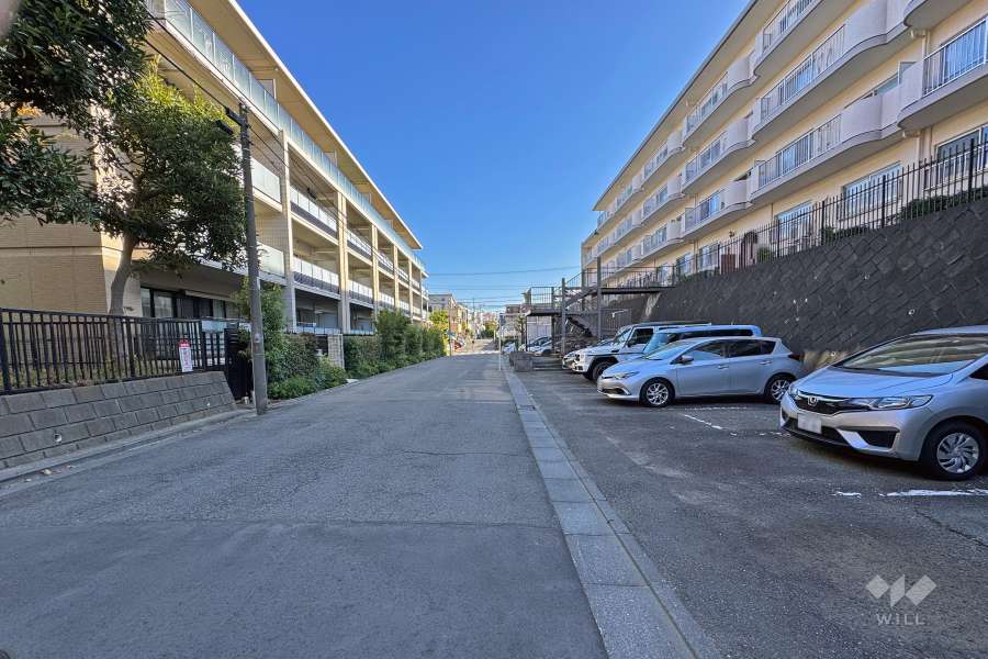 敷地の北側前面道路（西側から）