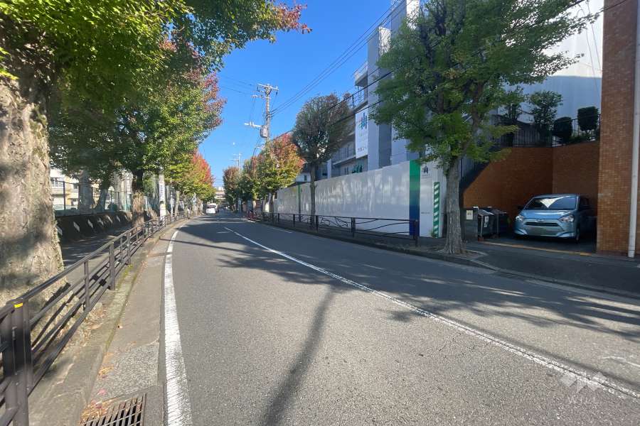 敷地の西側前面道路（北側から）